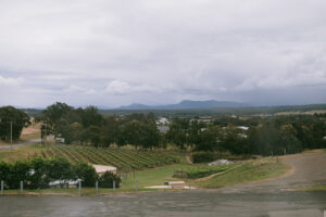 mendocino county winery