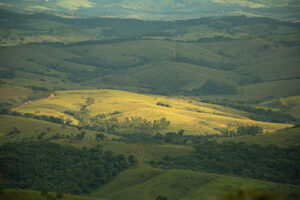 San Luis Obispo Landscape