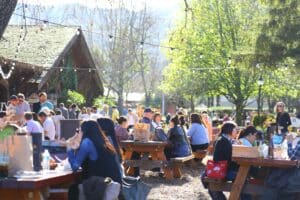 A large crowd siting at picnic tables in Napa Valley
